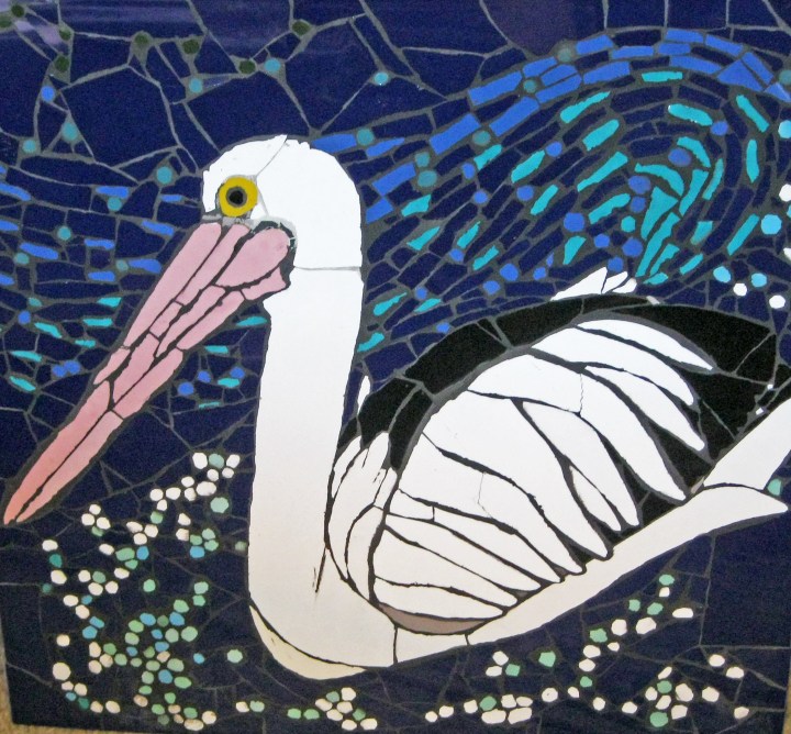 pelican