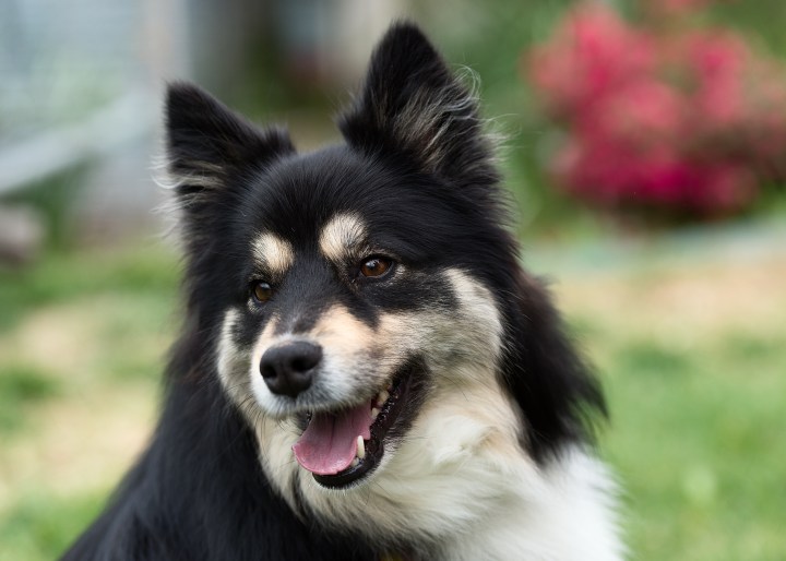 Tracy_Makea_sweetie (002)