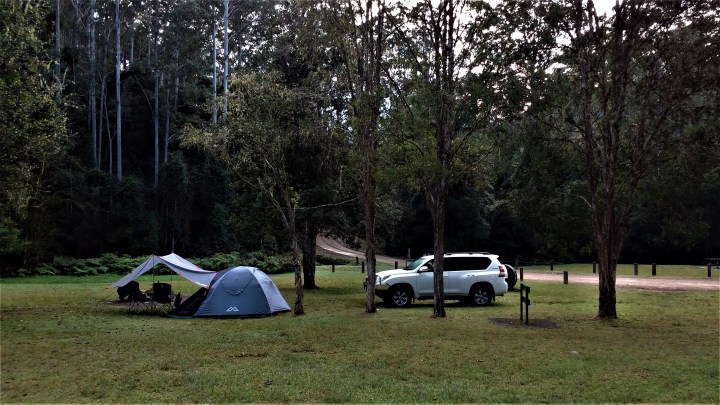 campsite2.jpg