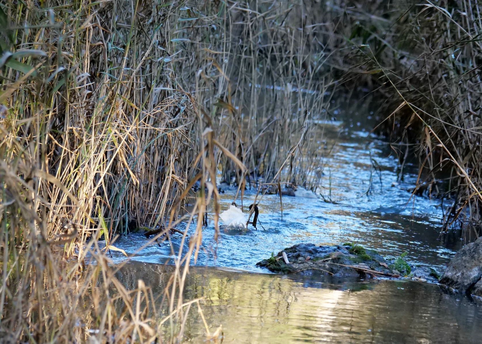 creek