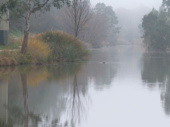 misty river.jpg