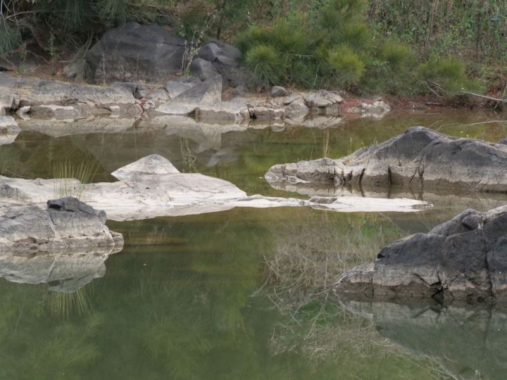 Murrumbidgee Dreaming