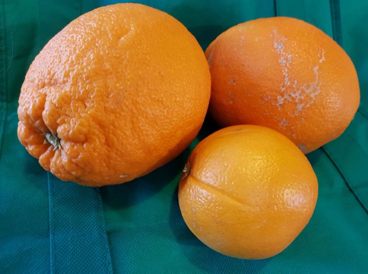 oranges.jpg
