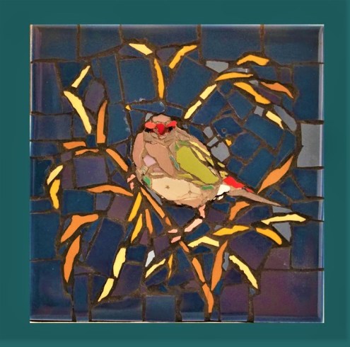 red browed finch