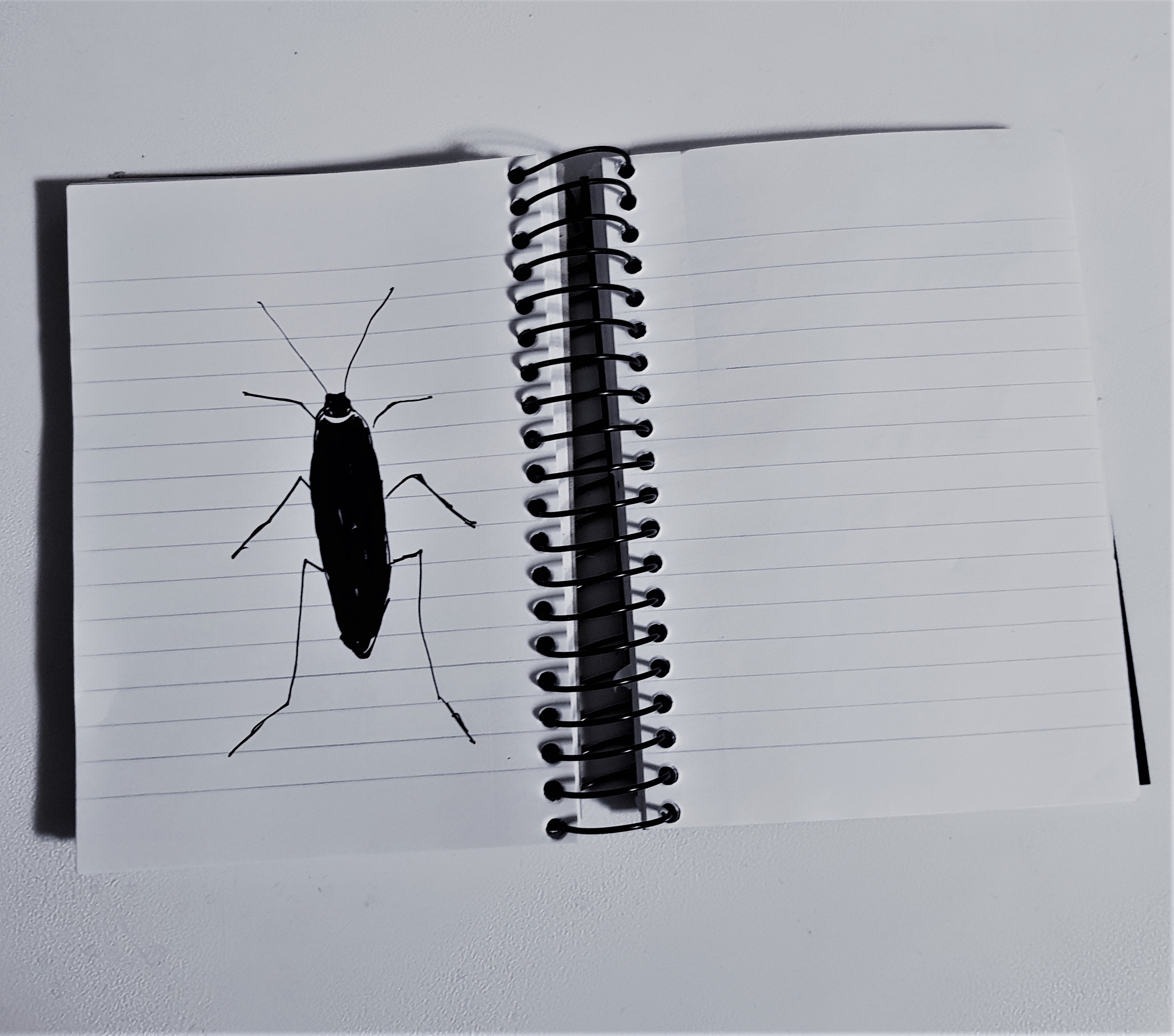 How To Impress Your Boss – A Haibun – Reflections of An Untidy Mind