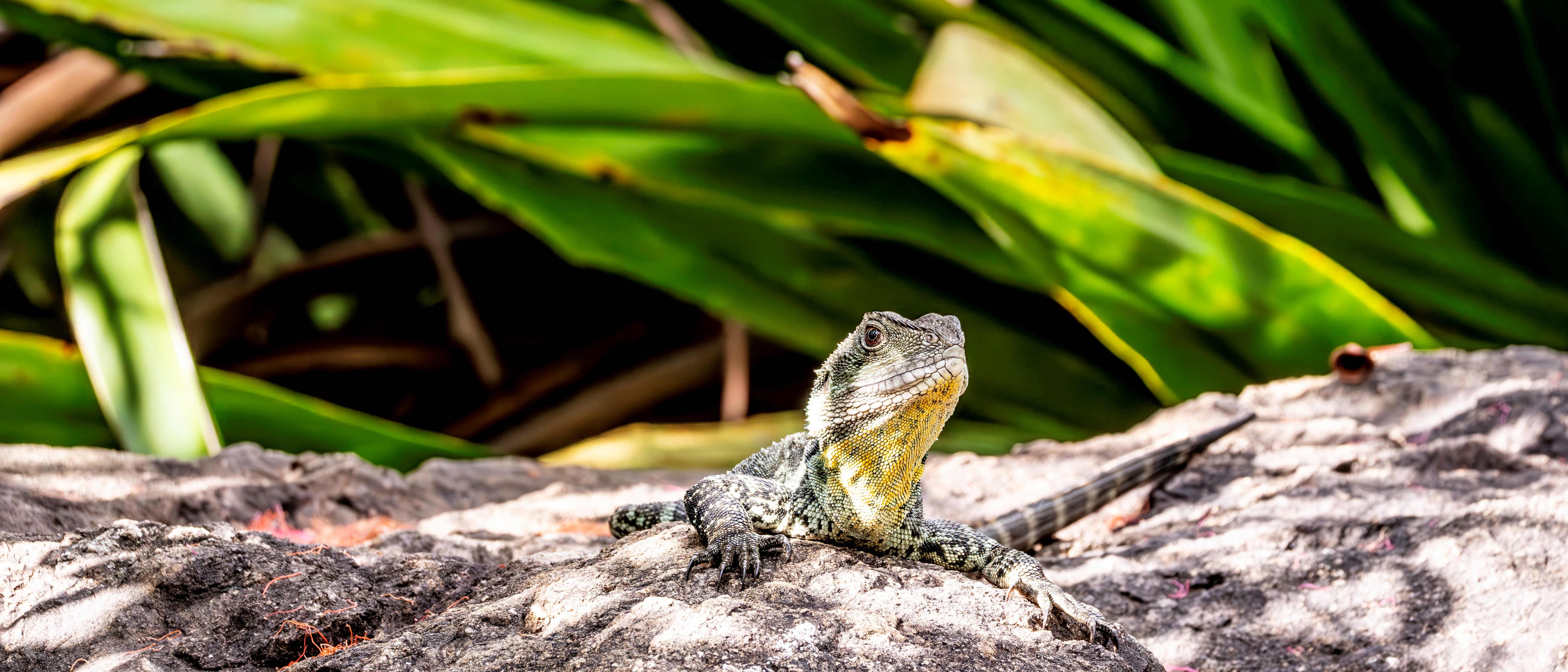 Keeping Up Appearances – Reflections of An Untidy Mind